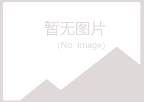 陆川县凝天工程有限公司